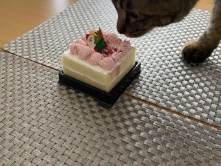 猫用クリスマスケーキ