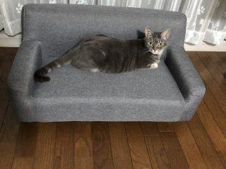 猫用ソファー