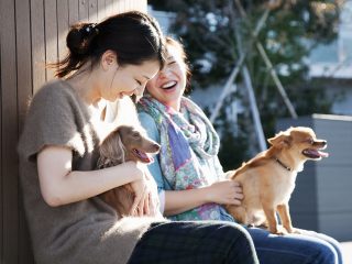 動物と人間の関係性について考えるオススメ犬映画5選