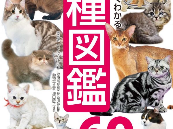 豊富なビジュアル＆詳細データの猫種図鑑、日本と世界の６０種を紹介