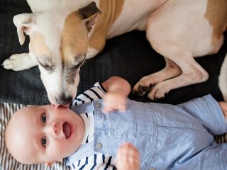 犬が赤ちゃんと初対面、心温まる映像に50万いいね！