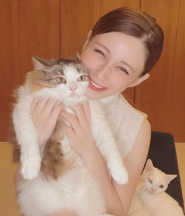 ダレノガレ明美、宿泊時の愛猫ルーティンに驚きの声　写真に首輪……そのワケとはの画像1