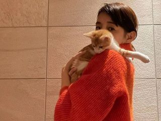 石田ゆり子、ミルボラをした子猫の成長を報告　「みんなに愛されています」