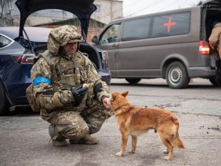 ブチャで救出された愛犬が飼い主と奇跡の再会！ ウクライナの動物の支援方法も（動画）