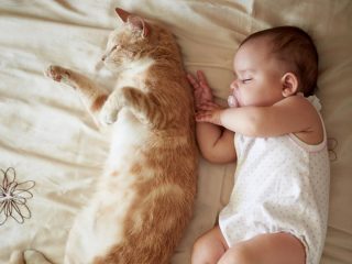 猫が生後７カ月の赤ちゃんを守るように添い寝、再生回数5300万超の激かわ動画！