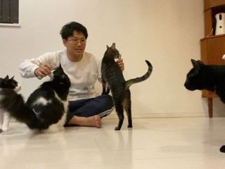 【動画あり】ミキ亜生が愛猫の真剣すぎるトイレ動画を公開