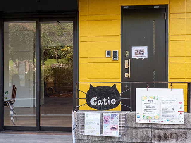 仲よし猫ちゃんたちと出会える奥渋の保護猫カフェ「Catio」に潜入！の画像1