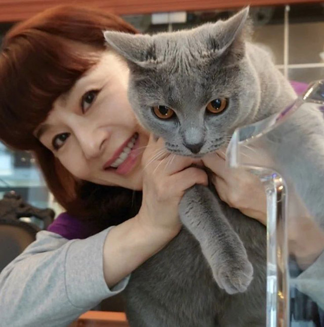 大地真央が「VOGUE JAPAN」で猫愛を披露　インスタでは猫になりきり？の画像1