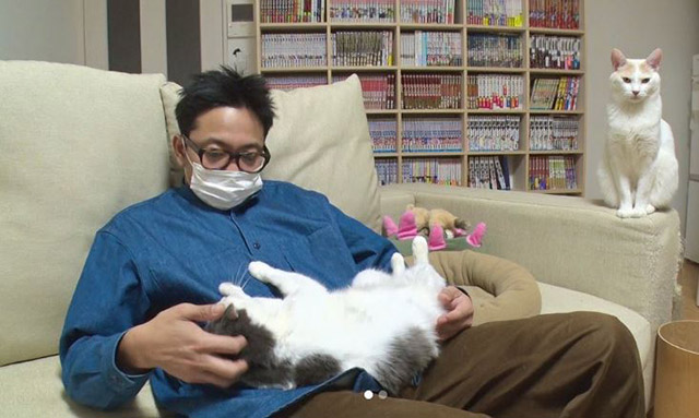 【猫おじさん】サンシャイン池崎が親バカ全開！ 愛猫の可愛い動画を大公開の画像1