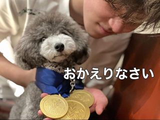 フィギュア宇野昌磨選手の愛犬はトイプードル！ イチャイチャ動画に歓喜