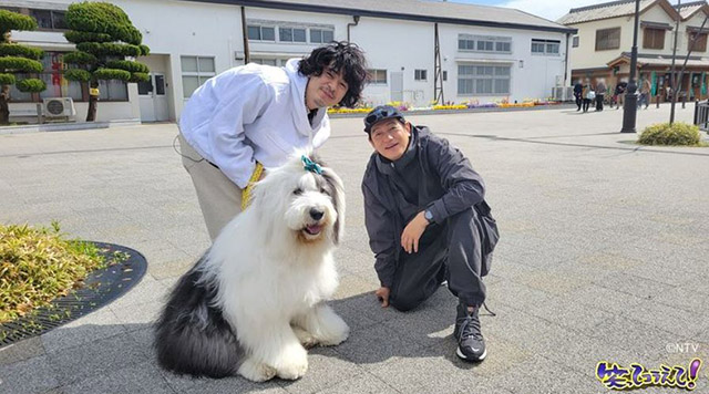 『笑ってコラえて！』ワンワンの旅、成田凌ら人気俳優と犬のコラボが最高すぎるの画像1