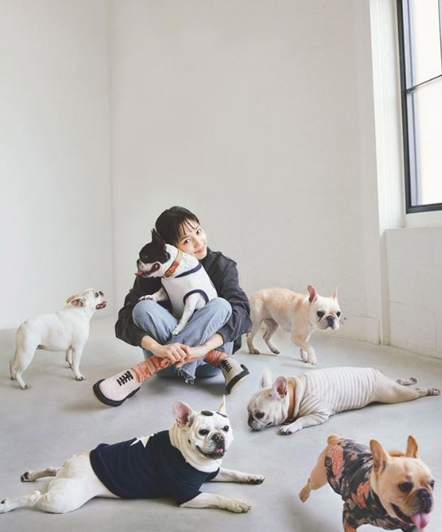 川口春奈が愛犬フレブルのお仕事を報告　「楽しみにしていてください」の画像1