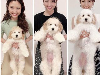 フジ・三田友梨佳アナが愛犬の成長を報告 「こんなに大きくなったんですね」