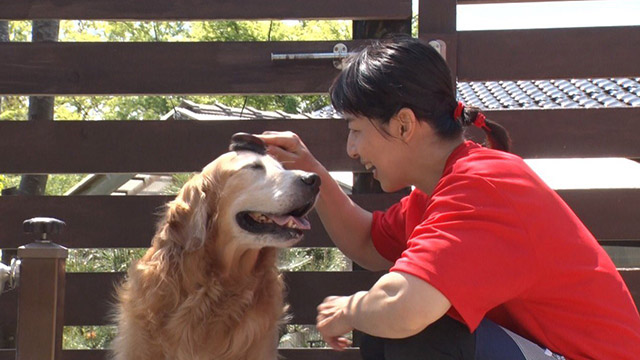 浜口京子の才能が開花！ 保護犬との独特な接し方に相葉雅紀も爆笑の画像1