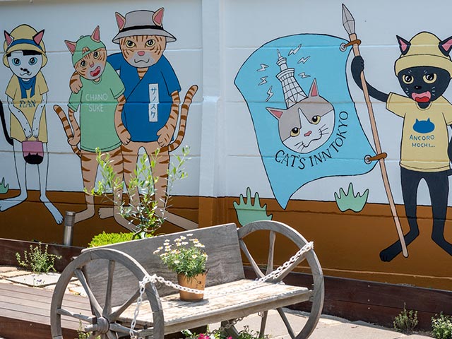 板橋区の保護猫カフェ「CATS INN TOKYO」を取材　の画像1