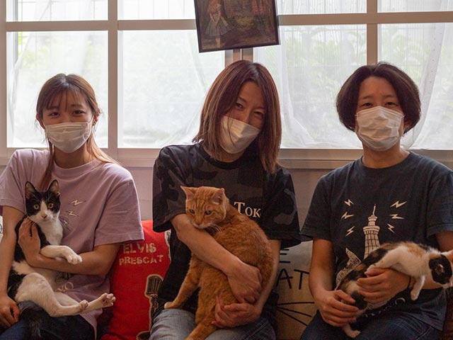 板橋区の保護猫カフェ「CATS INN TOKYO」を取材　の画像7