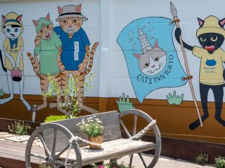 年間約70匹譲渡の保護猫カフェ「CAT'S INN TOKYO」を取材＝板橋区　