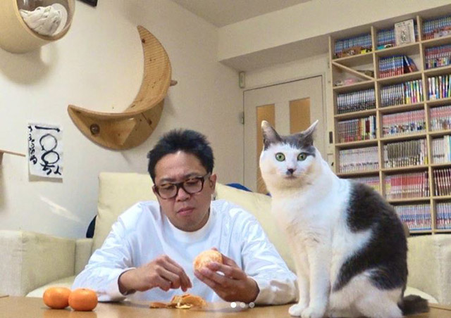 サンシャイン池崎、猫好き獣医師にアプローチでまさかの交際成立!?の画像1