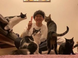 ミキ・亜生、3人掛けソファーが愛猫に取られて“3匹掛けソファー”に