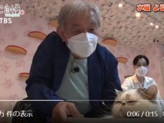 コワモテ俳優・渡辺哲、人生初の猫カフェで“沼落ち”確定！？
