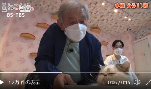 コワモテ俳優・渡辺哲、人生初の猫カフェで“沼落ち”確定！？