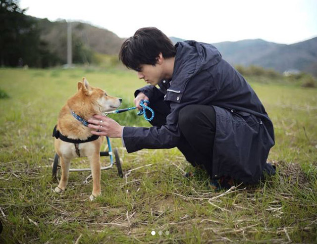 山田裕貴、亡き愛犬との思い出を語る　保護犬への接し方に称賛もの画像1