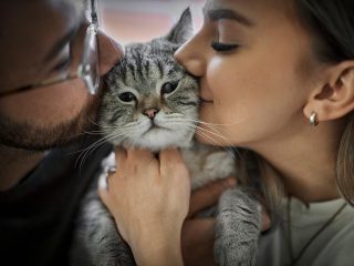 元保護猫が飼い主さんのキスを受け入れた瞬間に涙（動画）