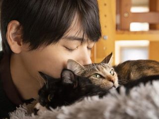 古川雄輝、猫好きはいい人と思うワケ　犬の飼い主の理解できない行動も