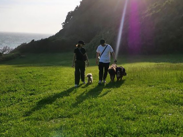 滝沢カレン、犬連れ婚でペットが3匹に「大の幸せ者(犬)になって」の画像1