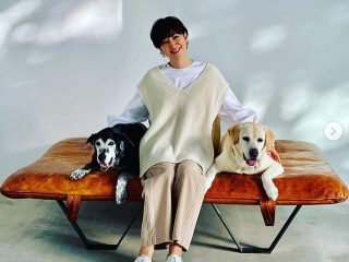 滝川クリステル、東日本大震災で保護された愛犬との出会いを語る