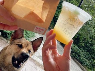 愛犬と那須へ　動物とのご対面や乳製品を味わい高原リゾートを満喫（栃木）