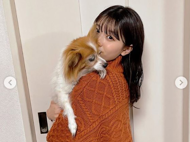 つばきファクトリー浅倉、卒業で動物専門学校へ 「愛犬たちとの出会いが…」の画像1